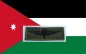 Preview: paratrooper jump wings jordan sas
